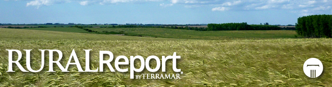 Rural Report